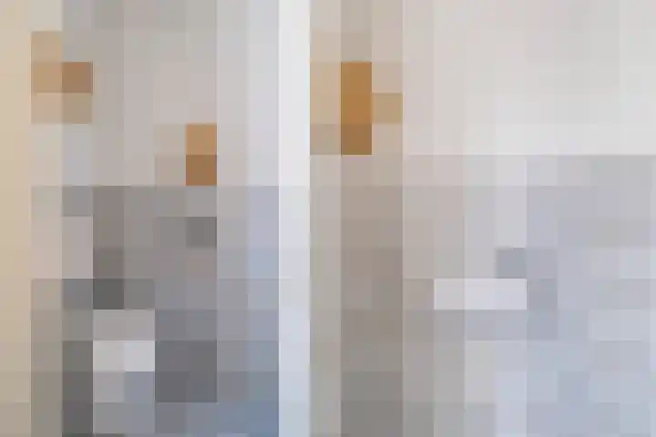 Laan van Delfland 41 Monster thumbnail 11