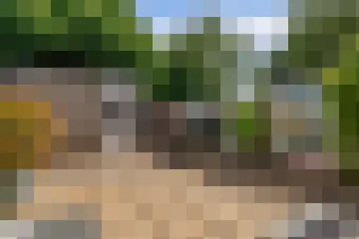 Laan van Delfland 41 Monster thumbnail 33
