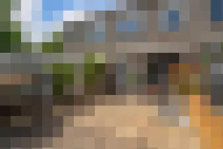 Laan van Delfland 41 Monster thumbnail 34