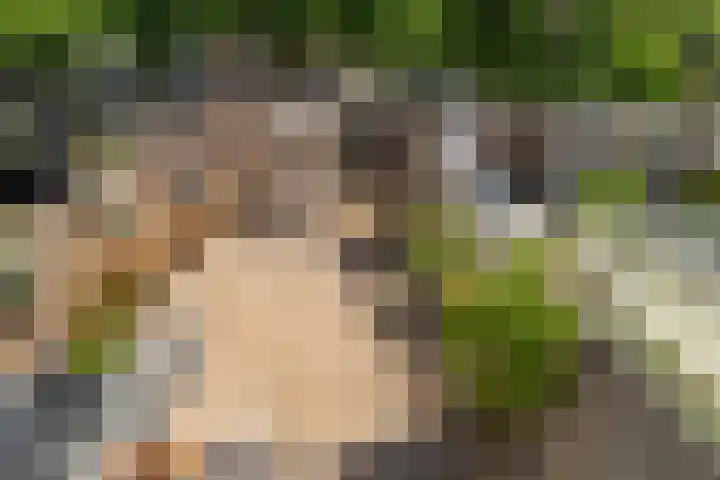 Laan van Delfland 41 Monster thumbnail 37