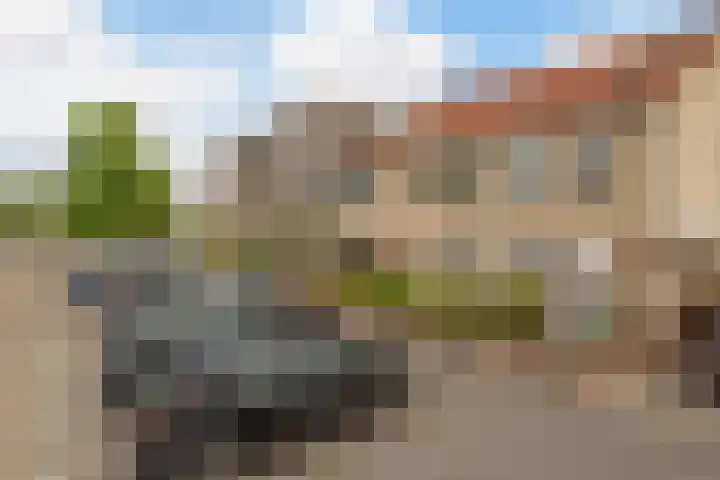 Laan van Delfland 41 Monster thumbnail 39
