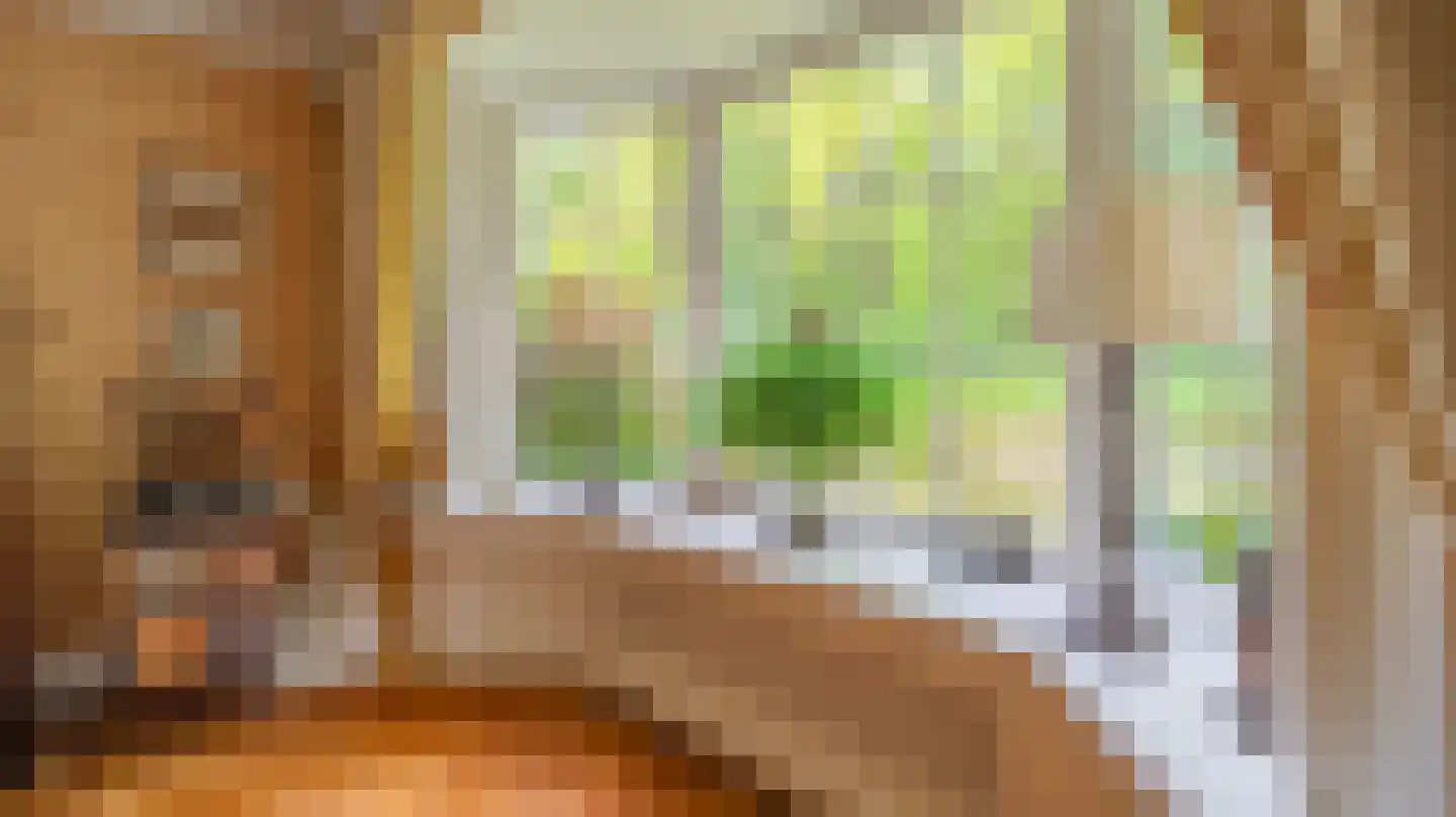 Laan van Denizli 3 Almelo thumbnail 13