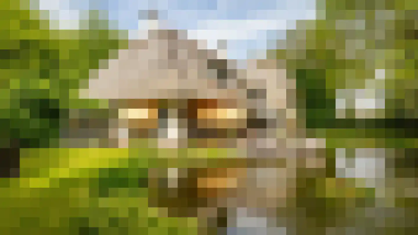 Laan van Denizli 3 Almelo foto 2