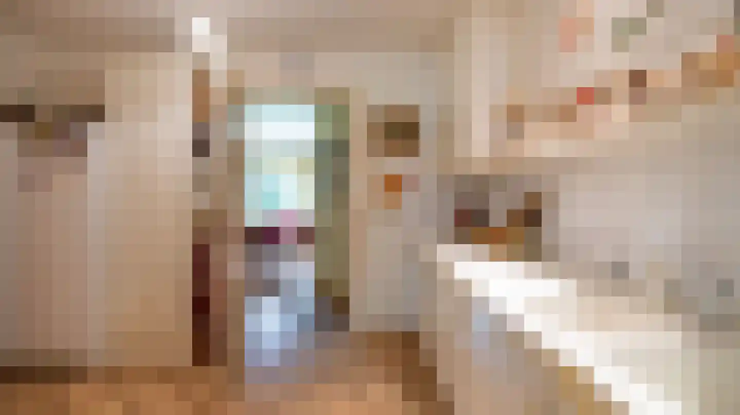 Laan van Denizli 3 Almelo thumbnail 27