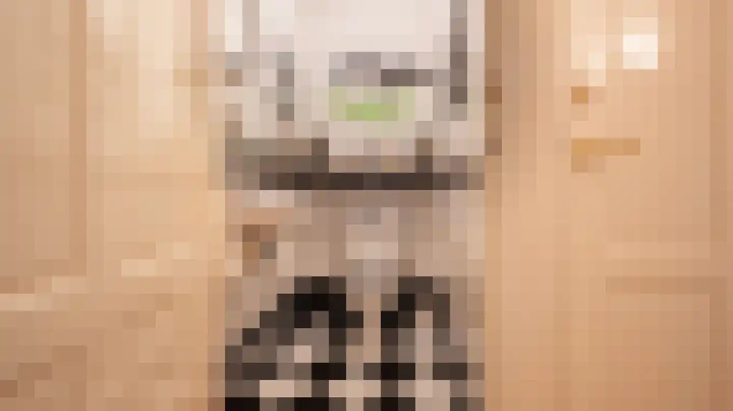Laan van Denizli 3 Almelo thumbnail 39