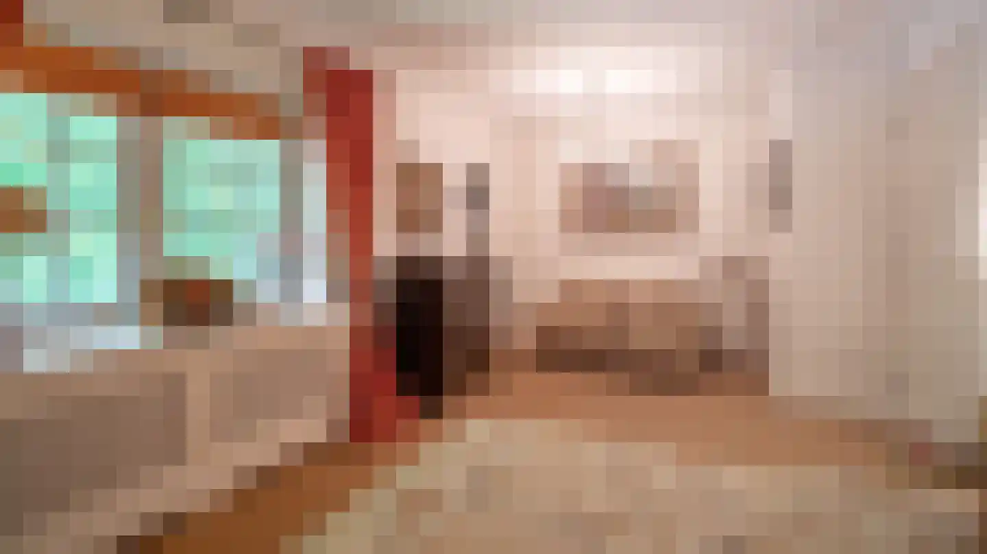 Laan van Denizli 3 Almelo thumbnail 41