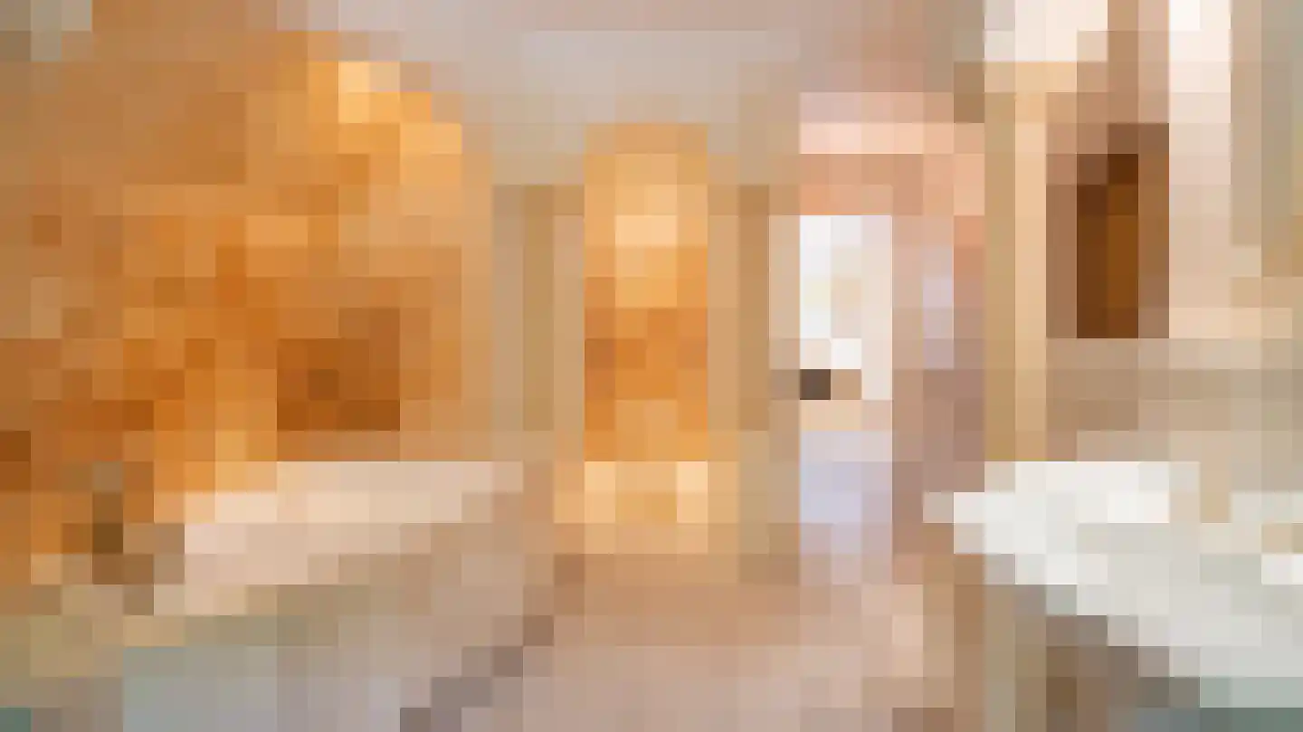Laan van Denizli 3 Almelo thumbnail 47