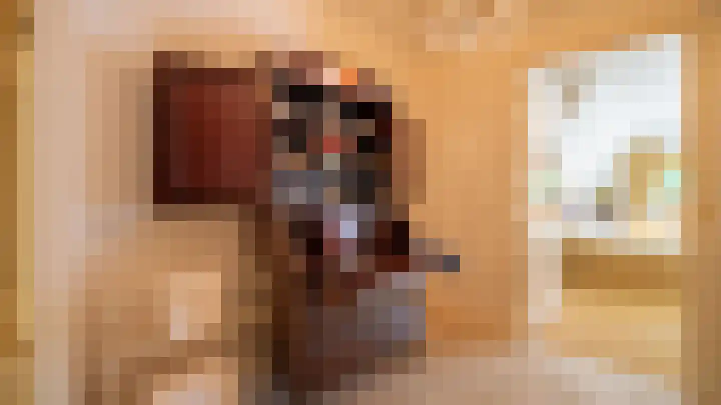 Laan van Denizli 3 Almelo thumbnail 51