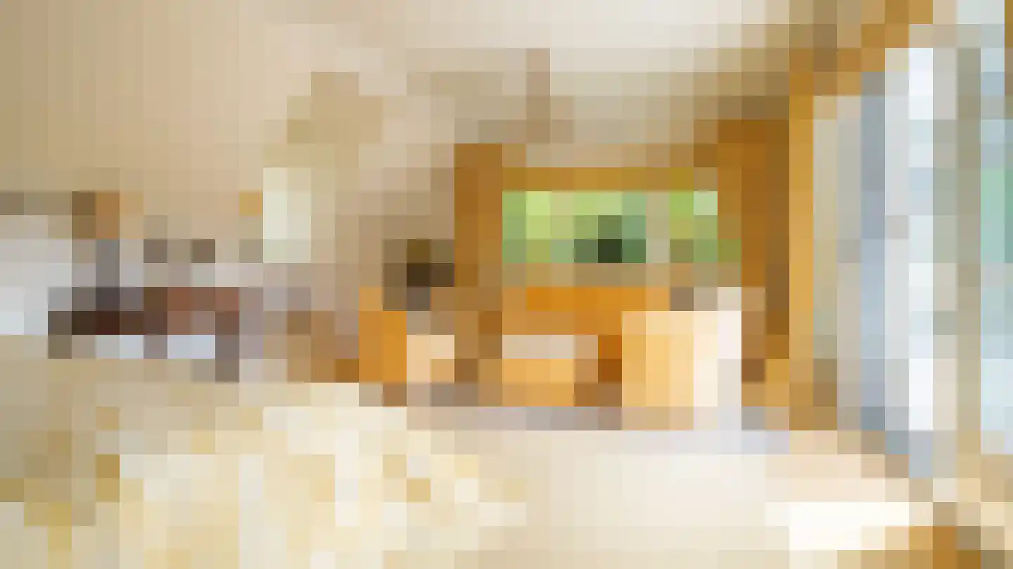 Laan van Denizli 3 Almelo thumbnail 55