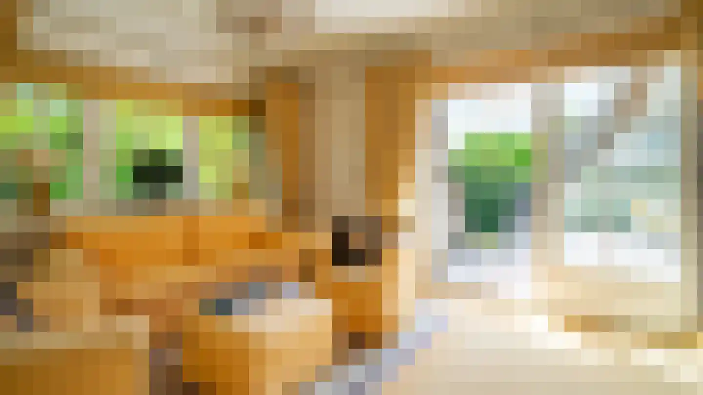 Laan van Denizli 3 Almelo thumbnail 56