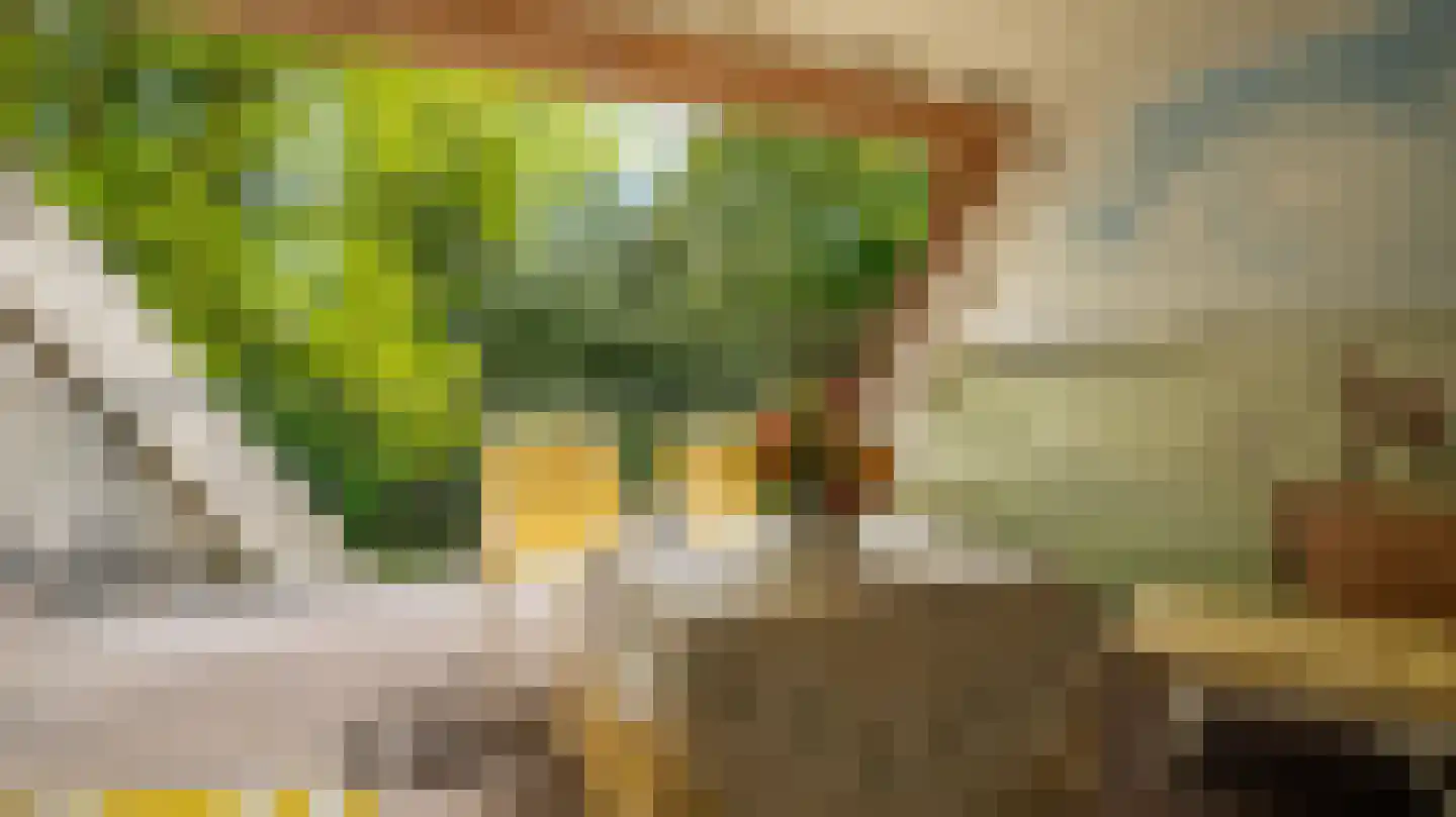 Laan van Denizli 3 Almelo thumbnail 59
