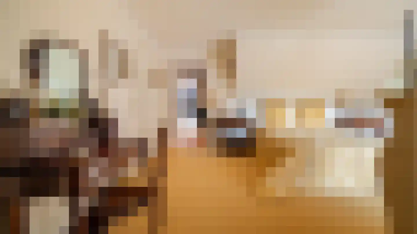 Laan van Denizli 3 Almelo thumbnail 60