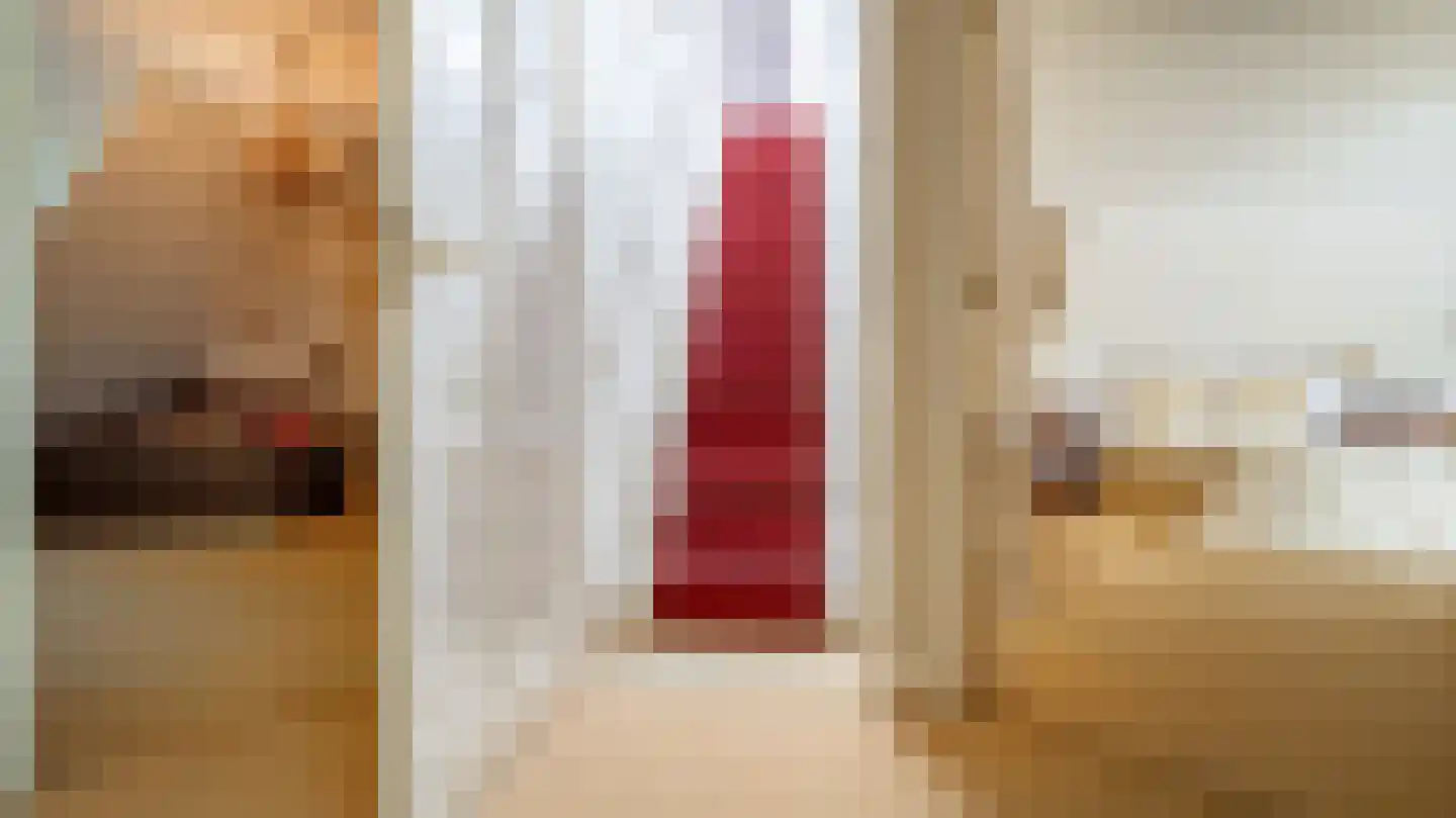 Laan van Denizli 3 Almelo thumbnail 64
