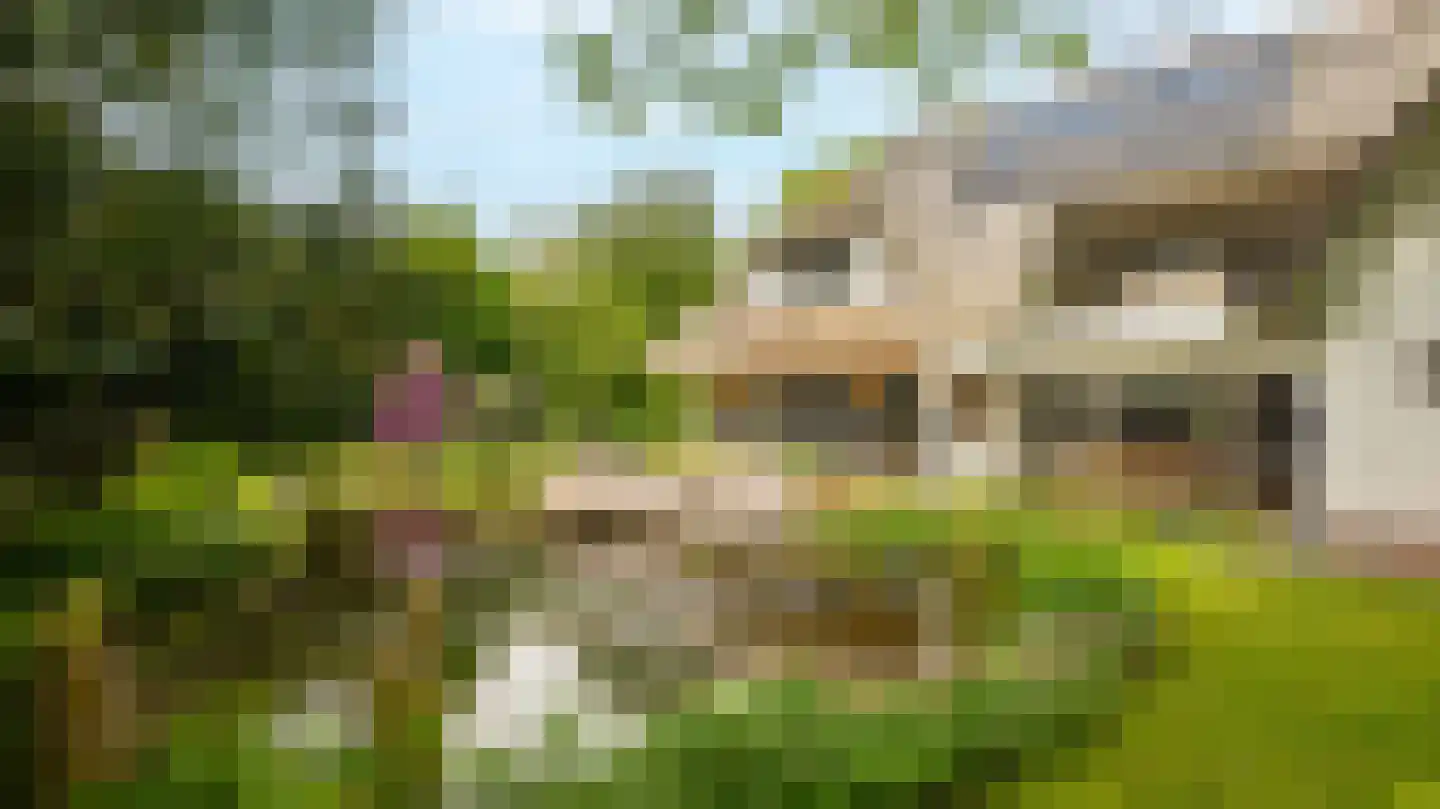 Laan van Denizli 3 Almelo thumbnail 68