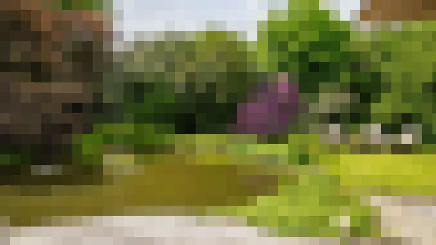 Laan van Denizli 3 Almelo thumbnail 72