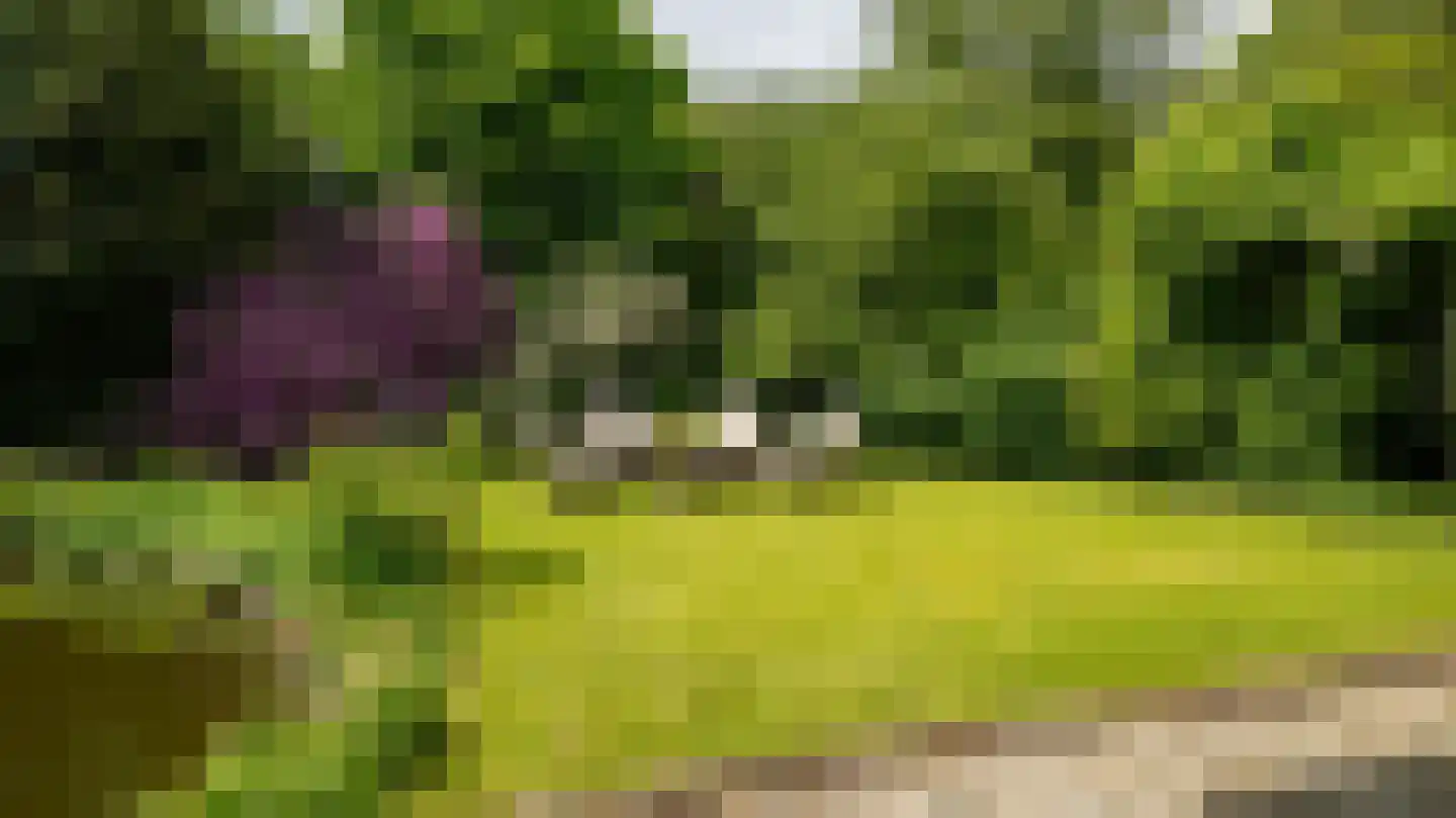 Laan van Denizli 3 Almelo thumbnail 73