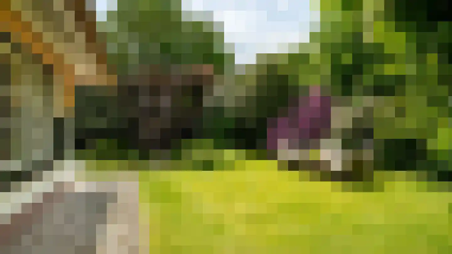 Laan van Denizli 3 Almelo thumbnail 74