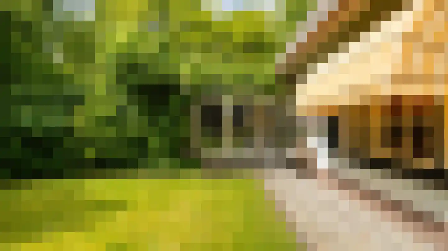 Laan van Denizli 3 Almelo thumbnail 79