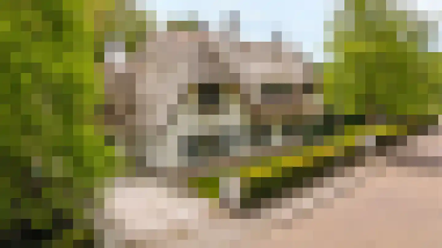 Laan van Denizli 3 Almelo thumbnail 86