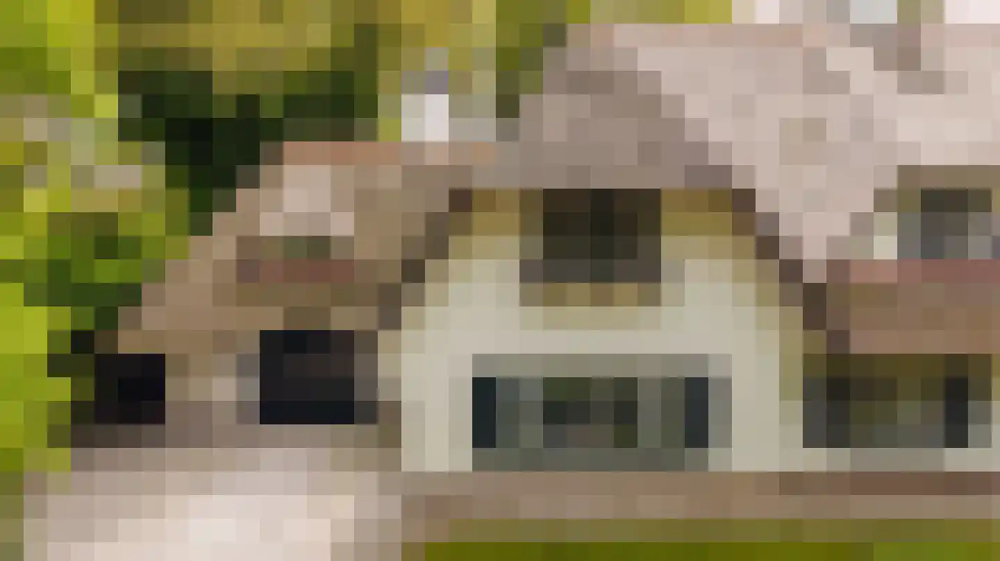 Laan van Denizli 3 Almelo thumbnail 87