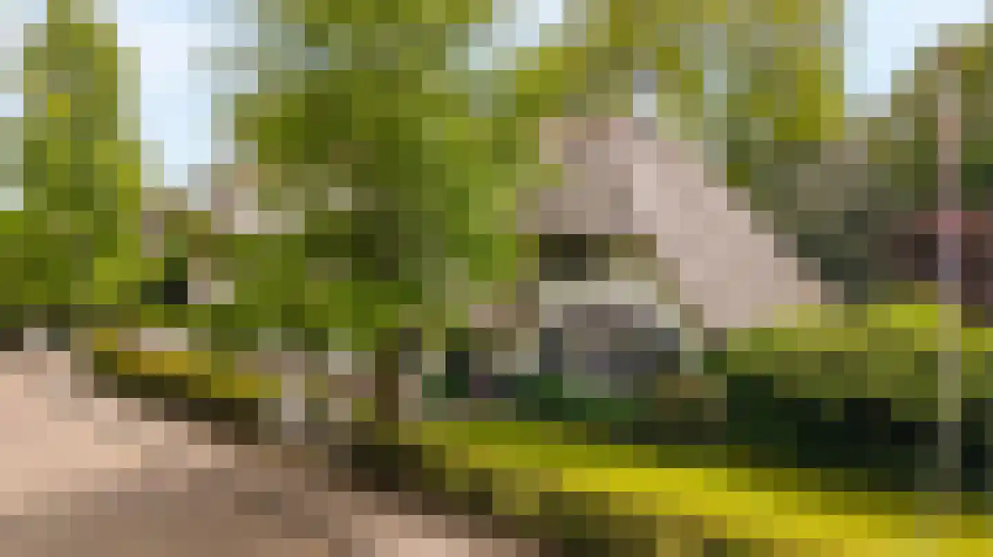 Laan van Denizli 3 Almelo thumbnail 88
