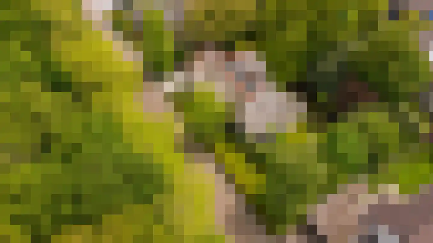 Laan van Denizli 3 Almelo thumbnail 89
