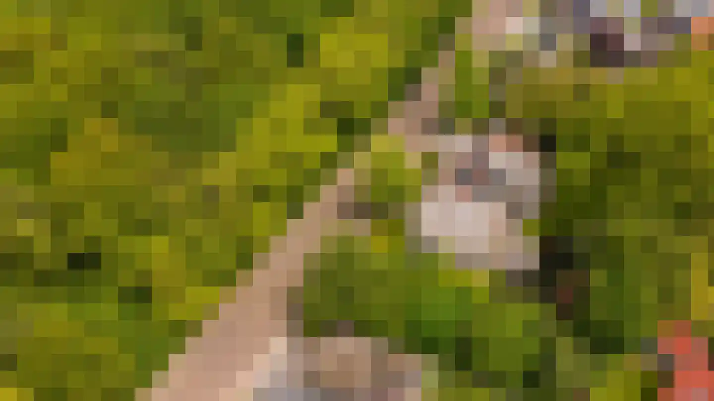 Laan van Denizli 3 Almelo thumbnail 90