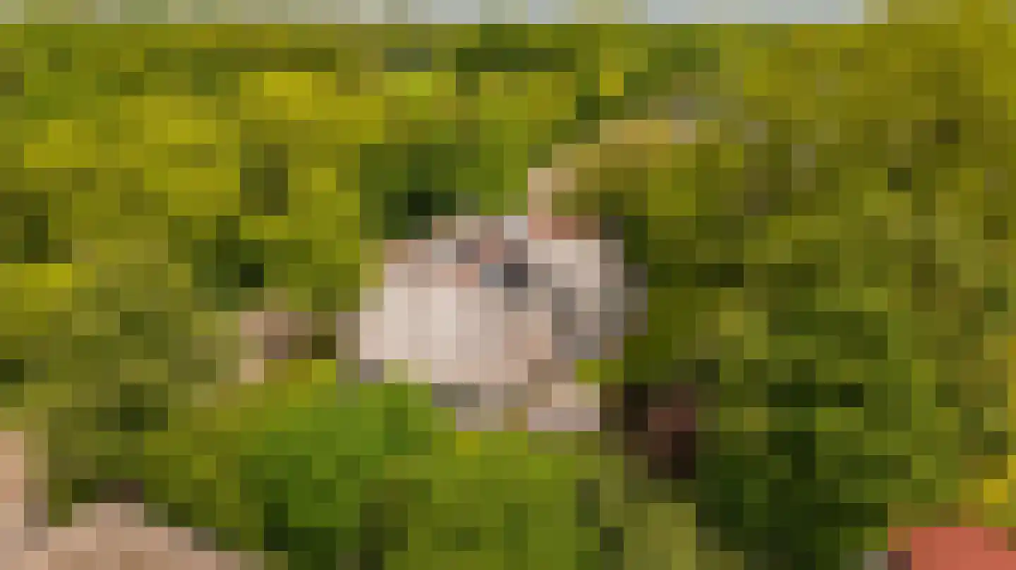 Laan van Denizli 3 Almelo thumbnail 91