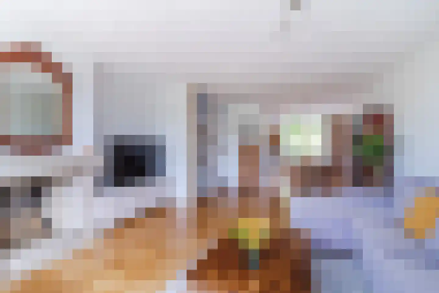 Laan van der Kroft 26 Den Haag thumbnail 11