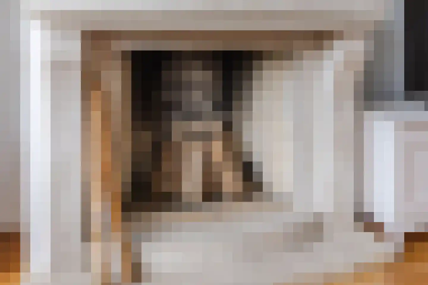Laan van der Kroft 26 Den Haag thumbnail 12