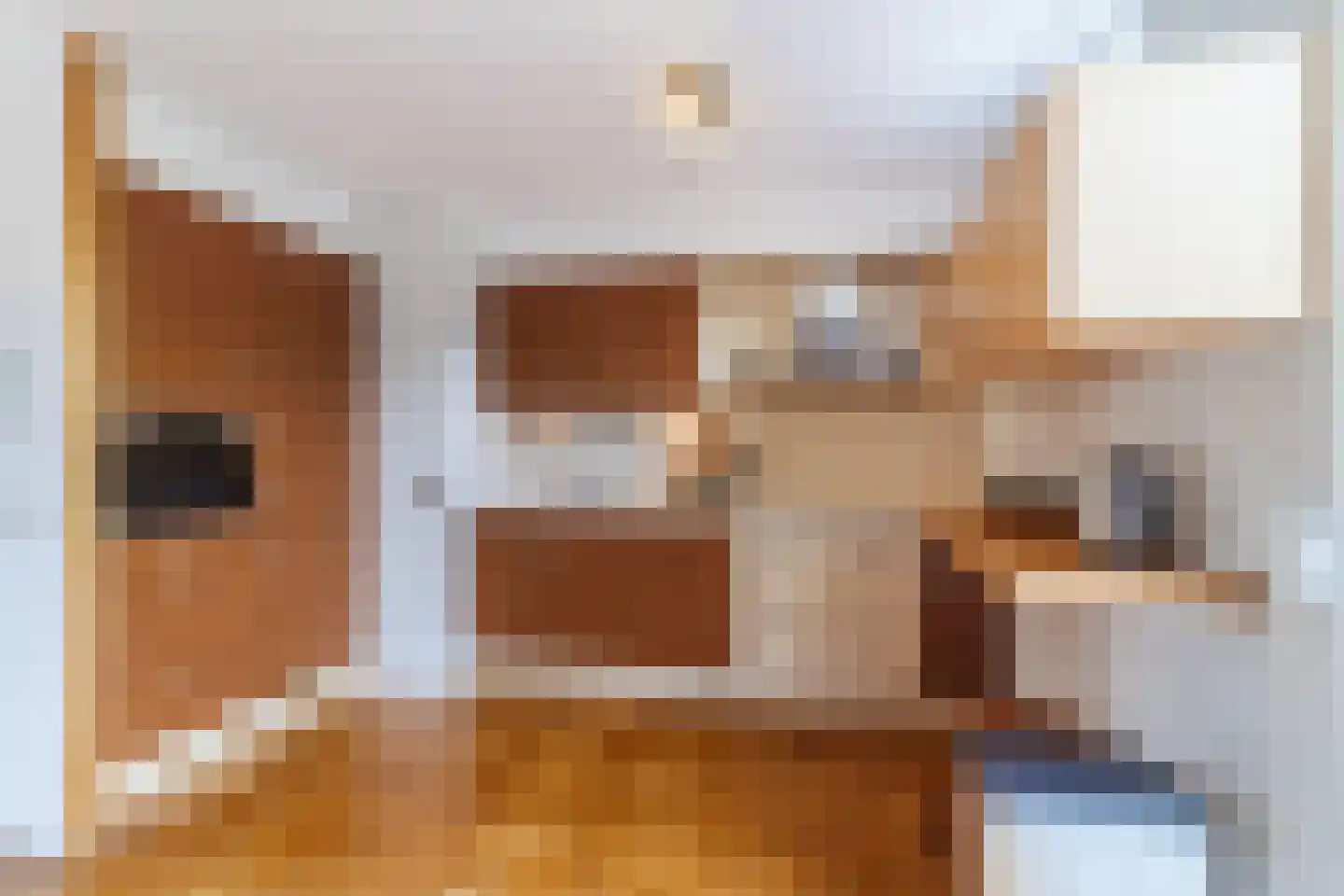 Laan van der Kroft 26 Den Haag thumbnail 15