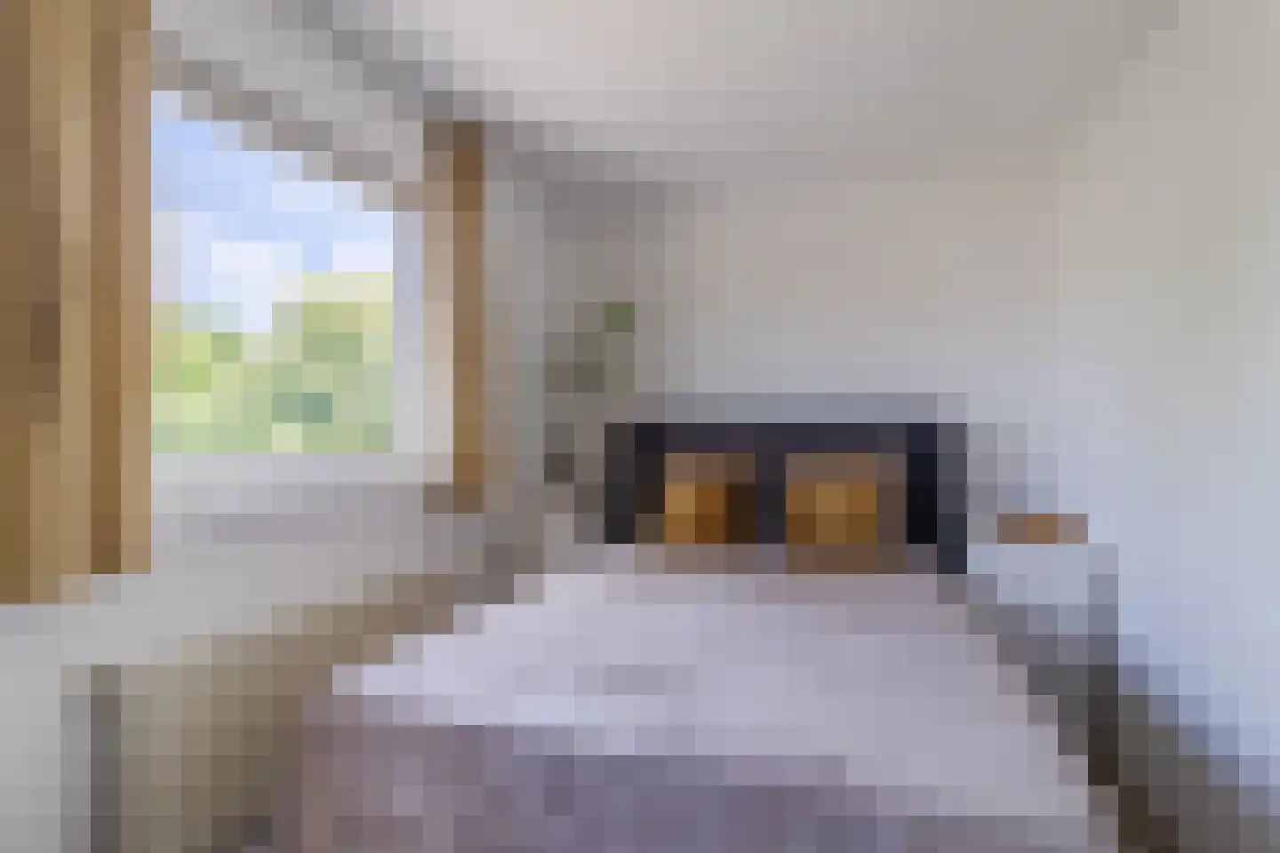 Laan van der Kroft 26 Den Haag thumbnail 20