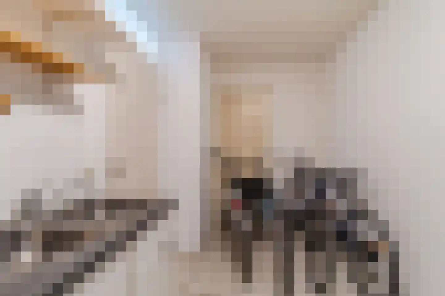 Laan van der Kroft 26 Den Haag thumbnail 34