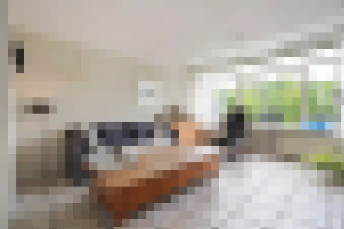 Laan van der Kroft 52 Den Haag thumbnail 11
