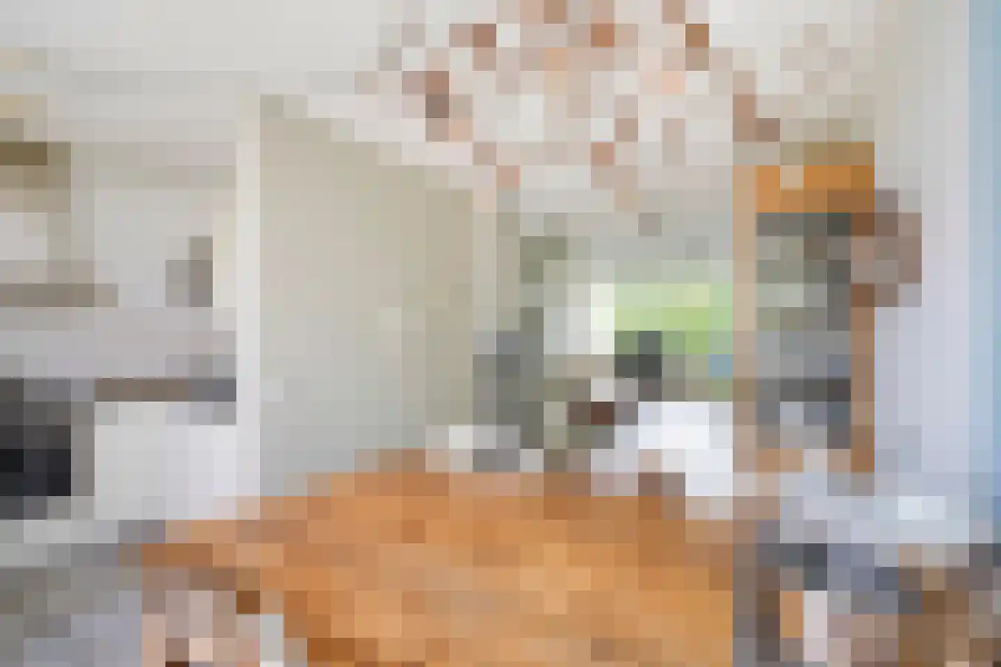 Laan van der Kroft 52 Den Haag thumbnail 13
