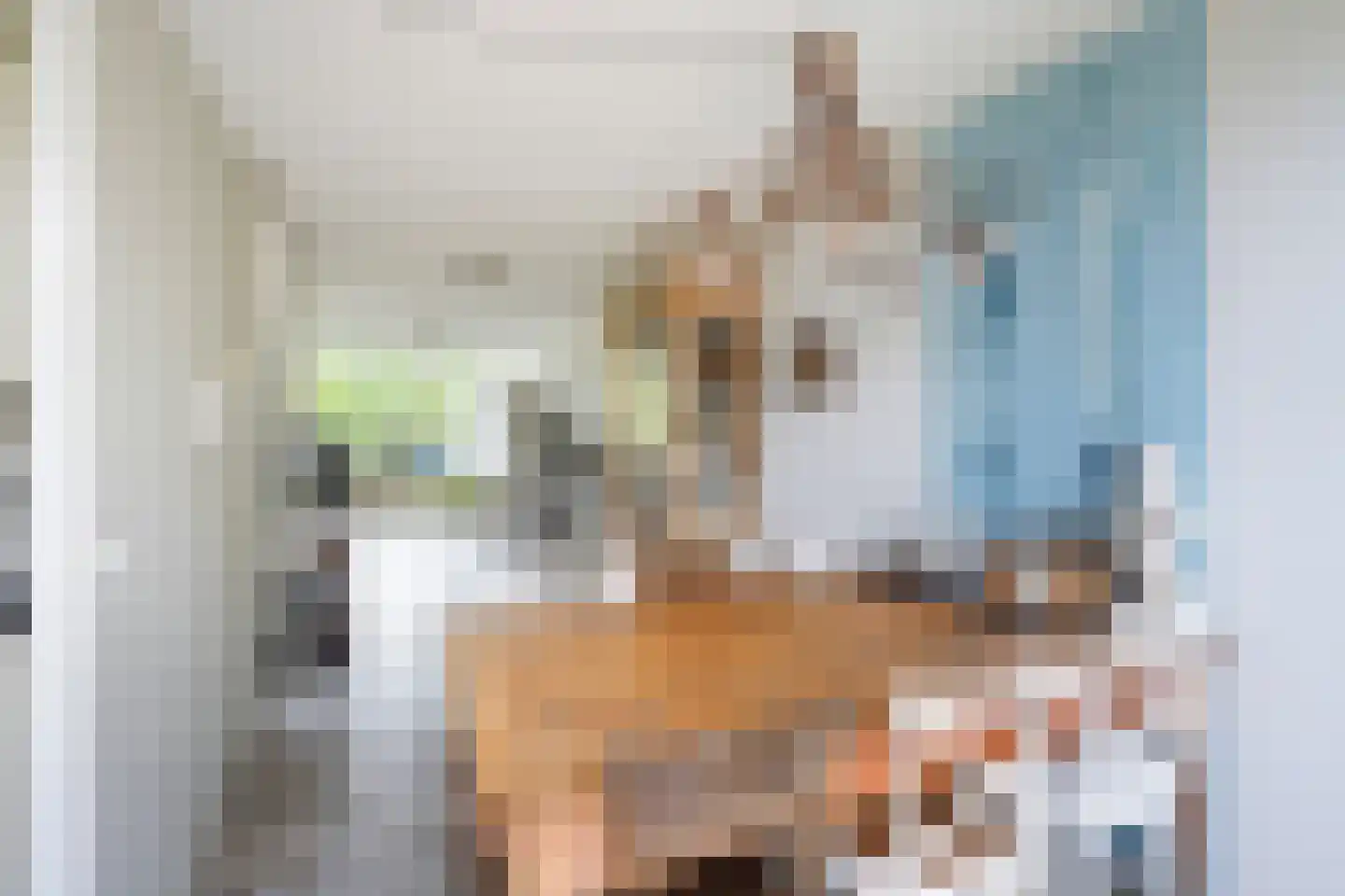 Laan van der Kroft 52 Den Haag thumbnail 14
