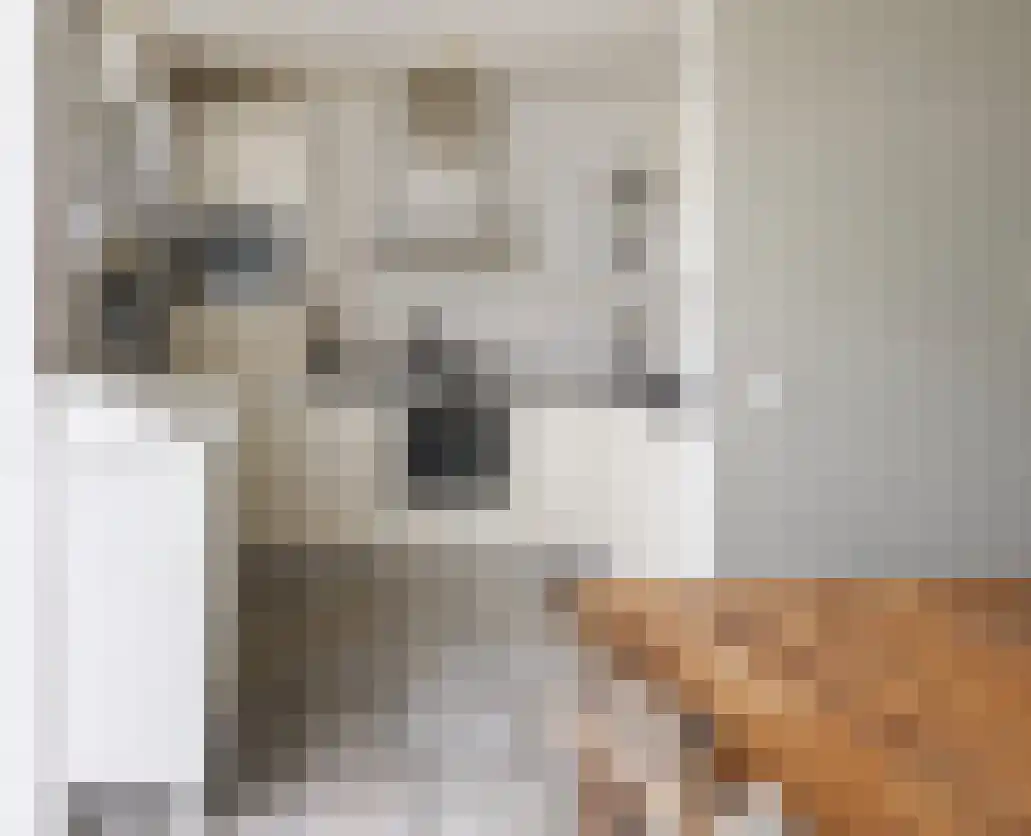 Laan van der Kroft 52 Den Haag thumbnail 15