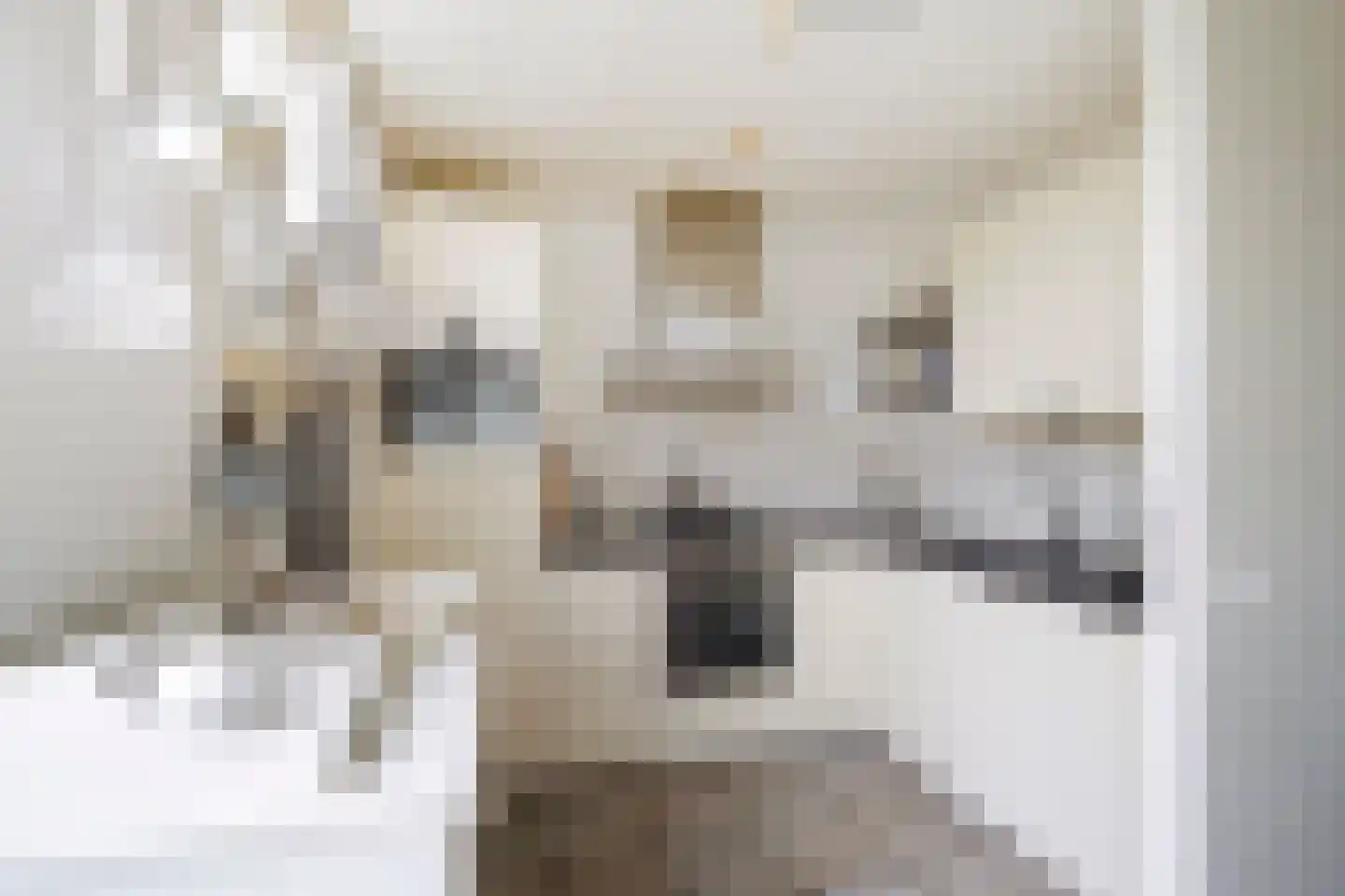 Laan van der Kroft 52 Den Haag thumbnail 17