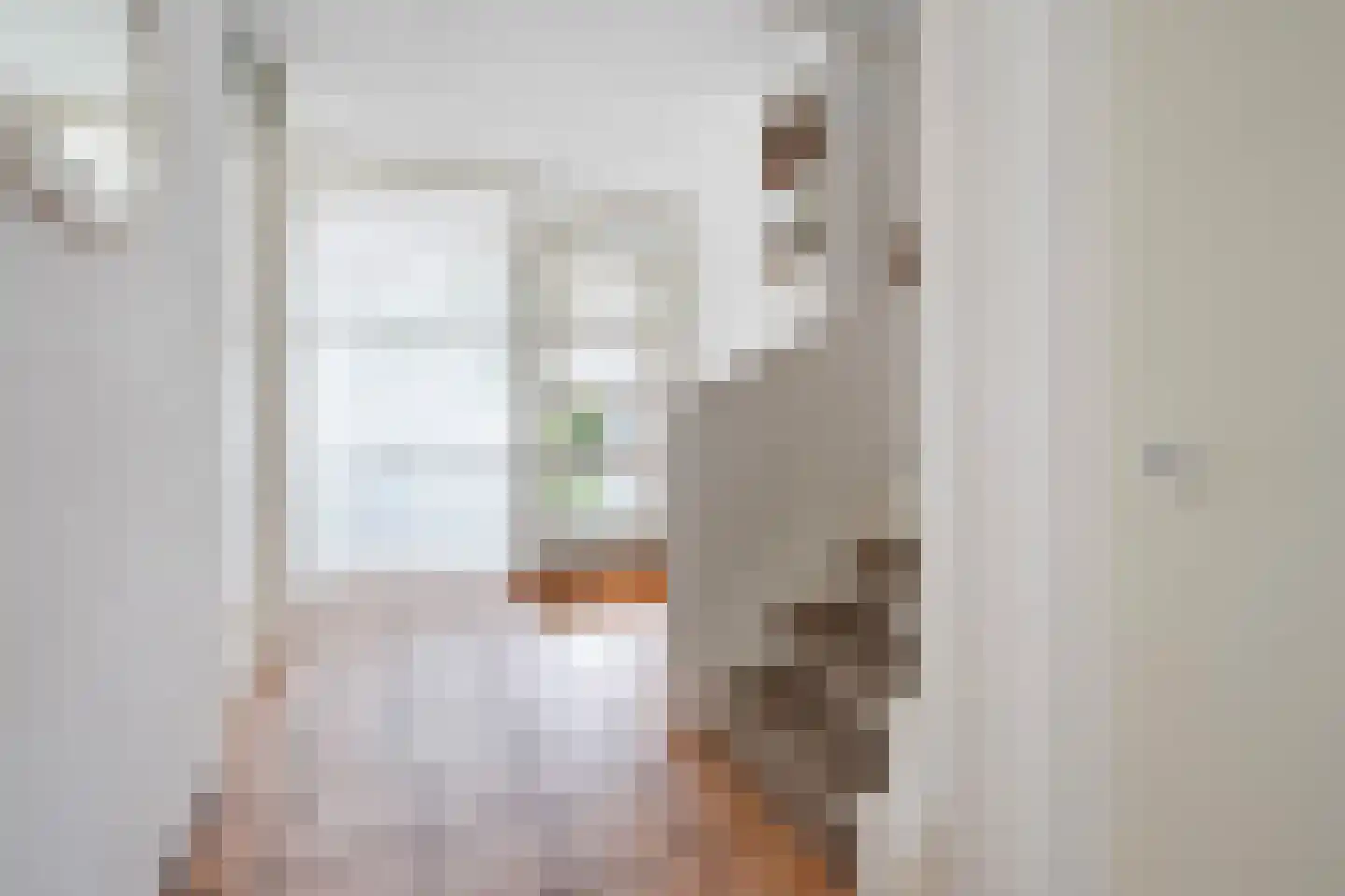 Laan van der Kroft 52 Den Haag thumbnail 7