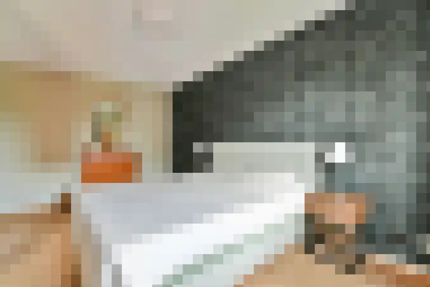 Laan van Deshima 14 Amstelveen thumbnail 15