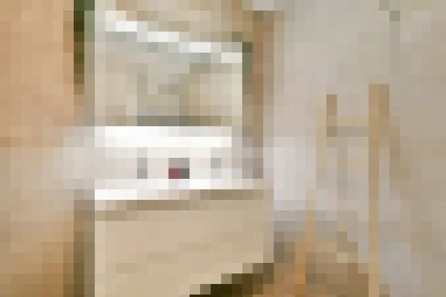 Laan van Deshima 14 Amstelveen thumbnail 22