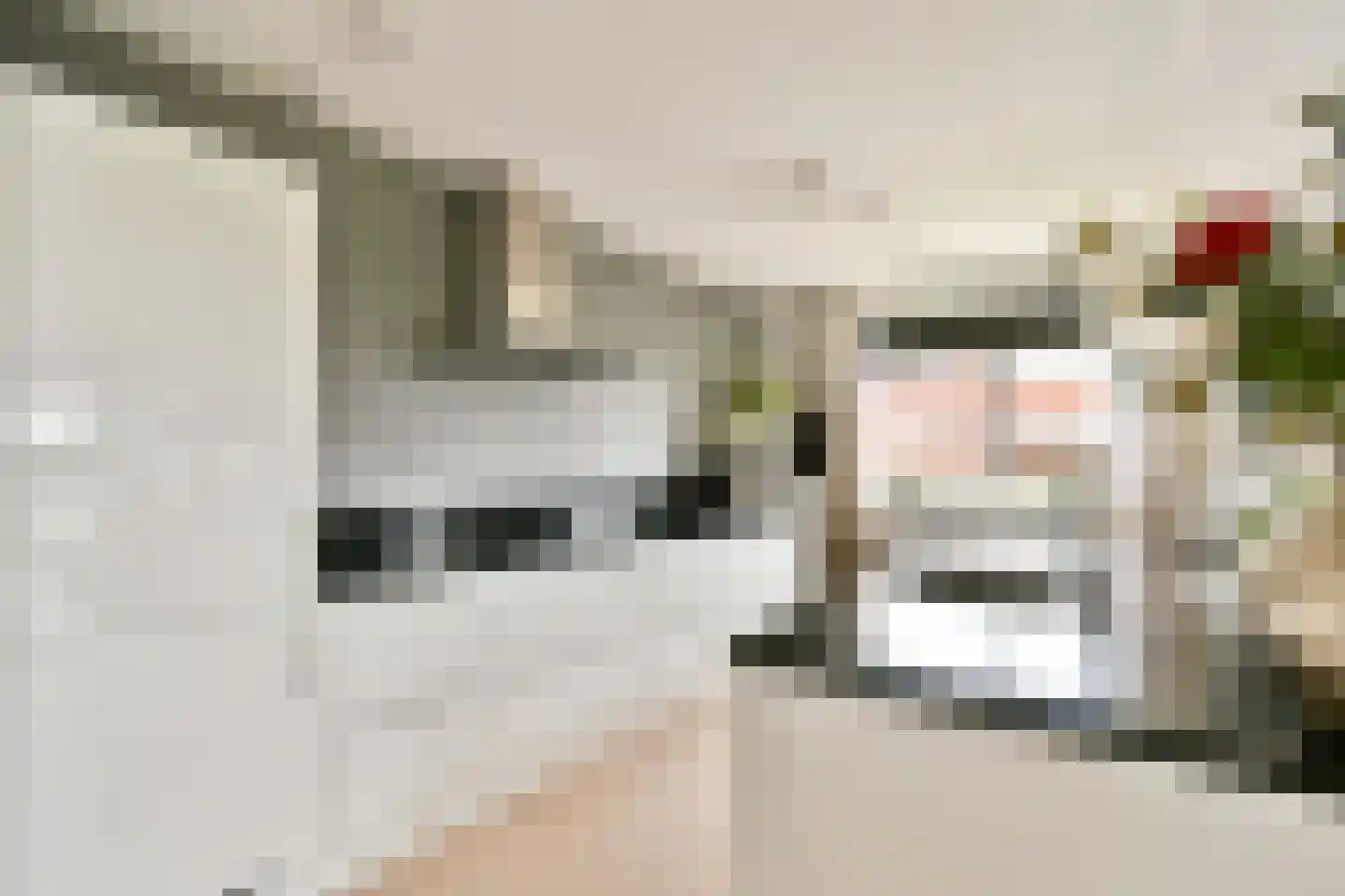 Laan van Deshima 14 Amstelveen thumbnail 7