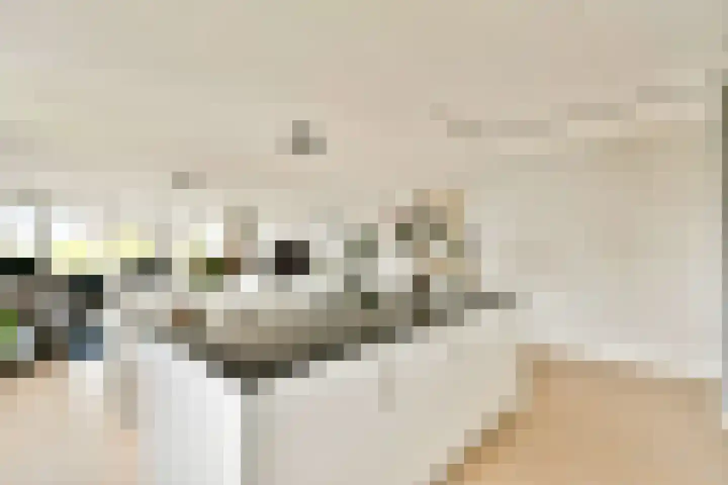 Laan van Deshima 14 Amstelveen thumbnail 8