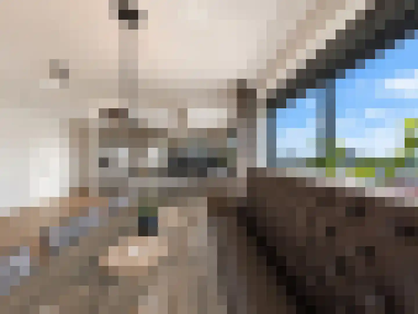 Laan van Deshima 34 Amstelveen thumbnail 12