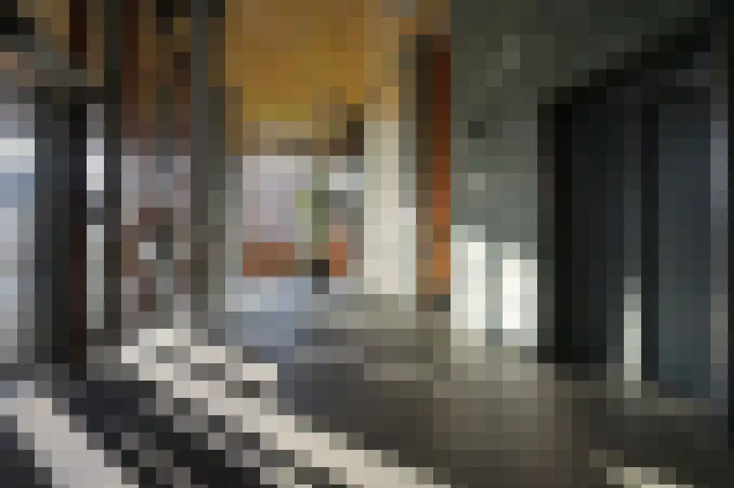 Laan van Deshima 34 Amstelveen thumbnail 34