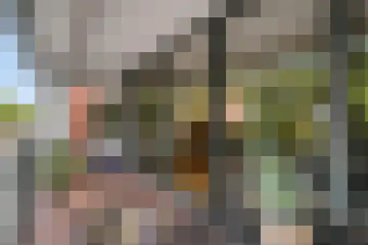 Laan van Deshima 77 Amstelveen thumbnail 9