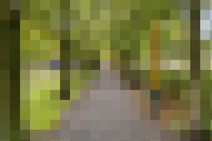Laan van Deshima 81 Amstelveen thumbnail 36