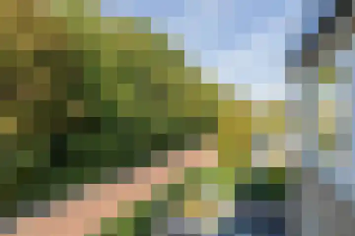 Laan van Dick Laan 11 Heemstede thumbnail 20