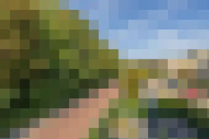 Laan van Dick Laan 11 Heemstede thumbnail 23