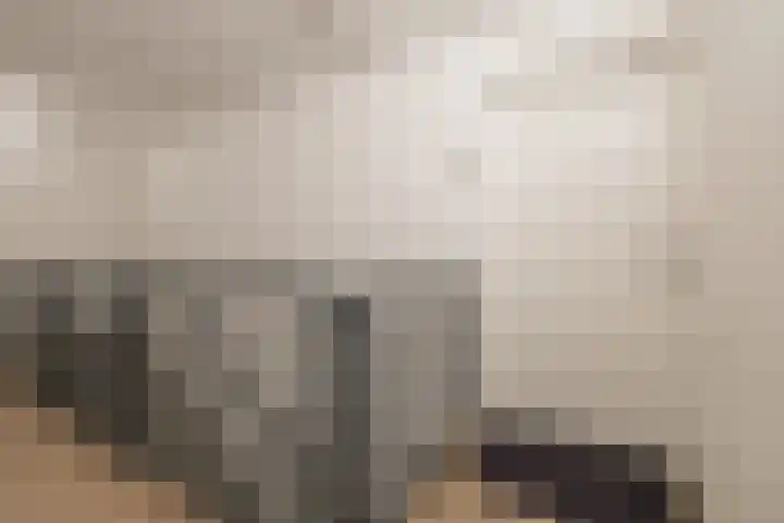 Laan van Dick Laan 11 Heemstede thumbnail 34